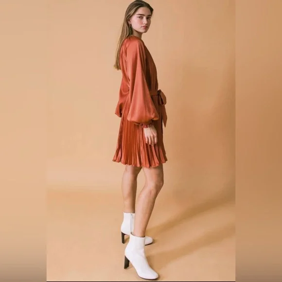 NWT Boutique Grace Pleated Long Sleeve Dress – Rust - Picture 6 of 7